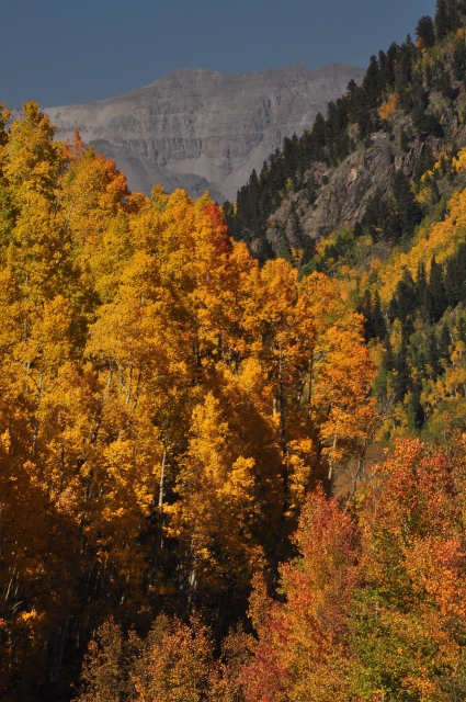fall colors on highway 145